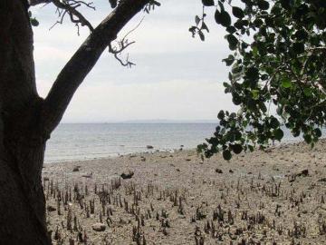 FOR SALE: Lot / Land / Farm Davao del Sur >Samal