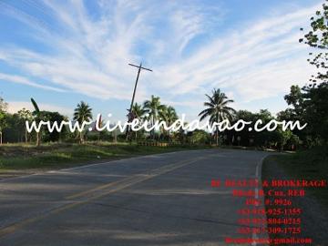 FOR SALE: Lot / Land / Farm Davao del Sur >Samal