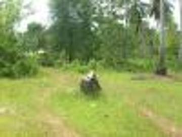 FOR SALE: Lot / Land / Farm Davao del Sur >Samal