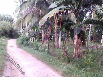 FOR SALE: Lot / Land / Farm Davao del Sur >Samal