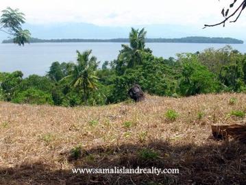 FOR SALE: Lot / Land / Farm Davao del Sur >Samal