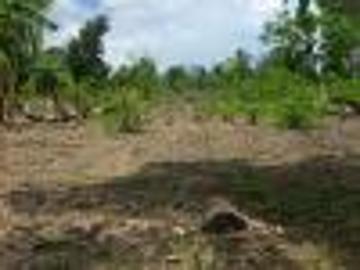 FOR SALE: Lot / Land / Farm Davao del Sur >Samal
