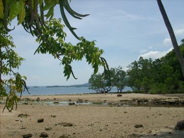 FOR SALE: Lot / Land / Farm Davao del Sur >Samal