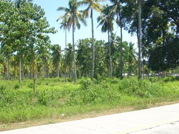 FOR SALE: Lot / Land / Farm Davao del Sur >Samal