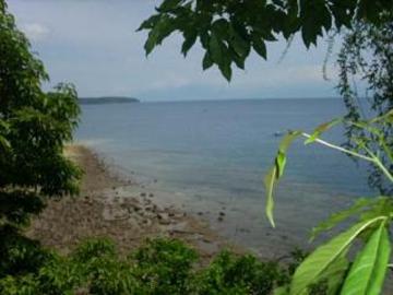 FOR SALE: Lot / Land / Farm Davao del Sur >Samal