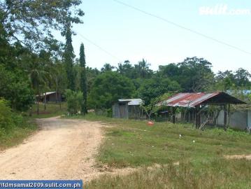 FOR SALE: Lot / Land / Farm Davao del Sur >Samal