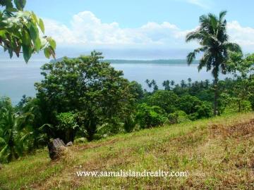FOR SALE: Lot / Land / Farm Davao del Sur >Samal
