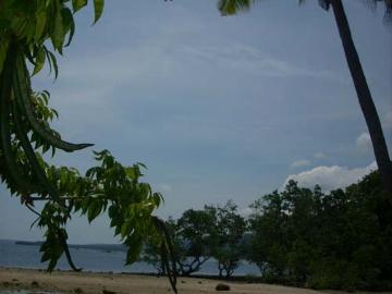 FOR SALE: Lot / Land / Farm Davao del Sur >Samal