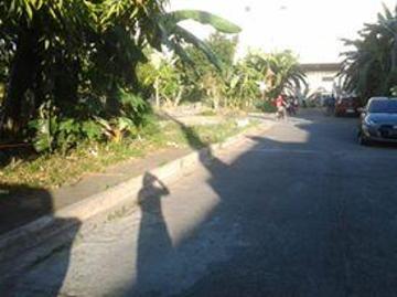 FOR SALE: Lot / Land / Farm Rizal >Antipolo