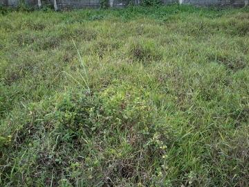 FOR SALE: Lot / Land / Farm Rizal >Antipolo