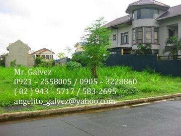 FOR SALE: Lot / Land / Farm Rizal >Antipolo