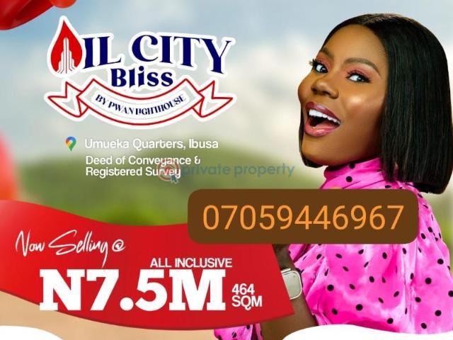 For sale: Mixed use Land Umuekea Quarters Ibusa Oshimili North Delta PID: 7PCLDU | Private Property Nigeria