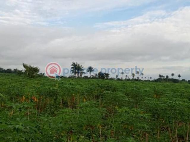 For sale: Mixed use Land Wonderland Gardens After Epe Toll Gate Iloti Ijebu East Ogun PID: 0PCBNX | Private Property Nigeria