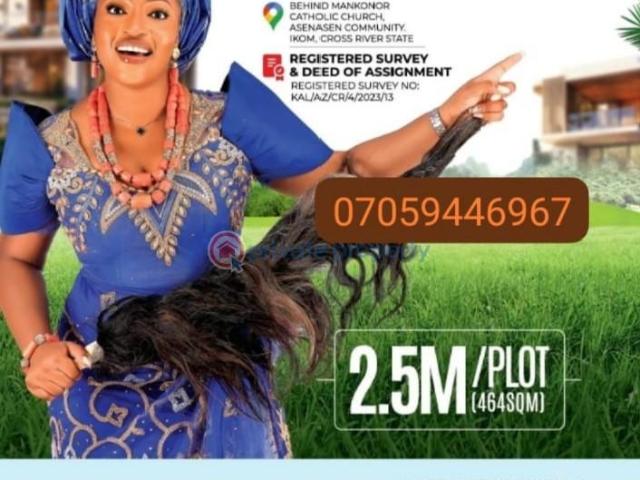 For sale: Mixed use Land Behind Mankonor Catholic Church Asenasen Community Ikom Cross River PID: 7PBHCS | Private Property Nigeria