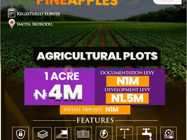 For sale: Mixed use Land Imota By Ikorodu Sagamu Boundary Sagamu Ogun PID: 7PCDDX | Private Property Nigeria