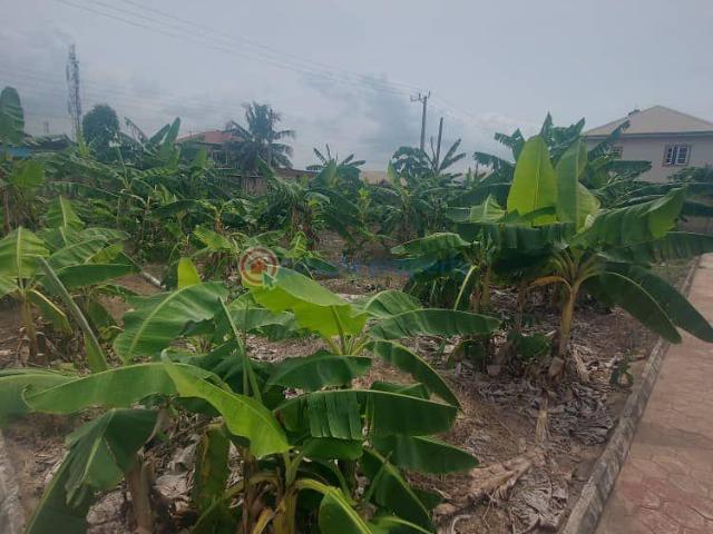 For sale: Mixed use Land Journalist Estate Arepo Lagos Extension Ogun PID: 5PBQEK | Private Property Nigeria