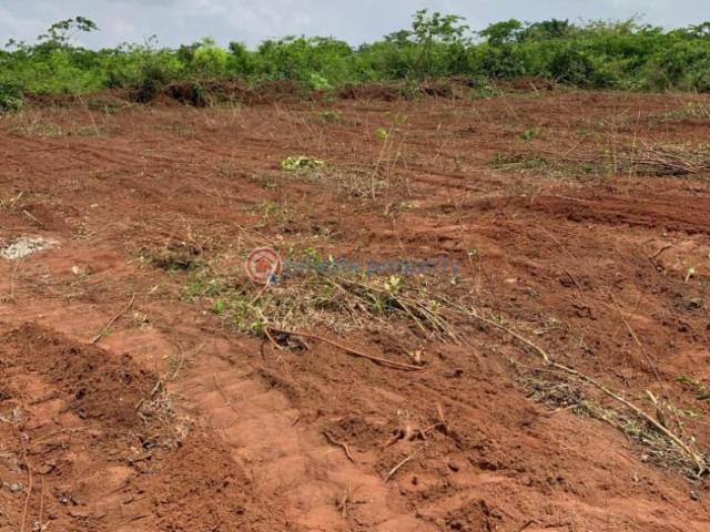 For sale: Mixed use Land Oxford Heights Estate Asaba Phase 2 In Ibusa Asaba Delta PID: 2PCNDF | Private Property Nigeria