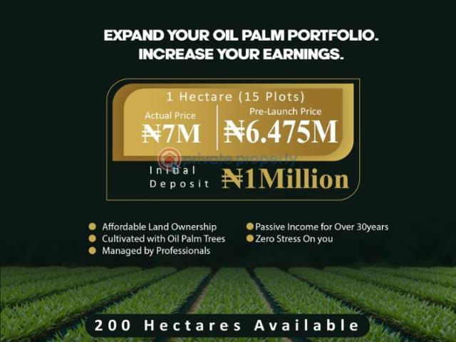 For sale: Mixed use Land Palmrich Farm 2 Asa Ilobi Town Onigbedu Ewekoro Ogun State Abule Ado Ewekoro Ogun PID: 5PDDPK | Private Property Nigeria