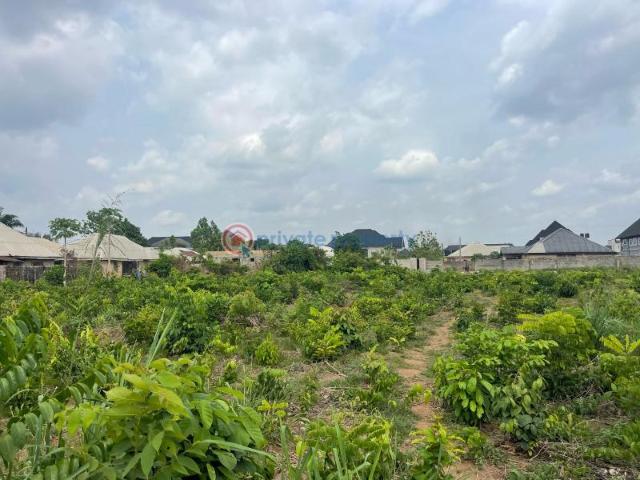 For sale: Residential Land Naze Off Owerri Aba Road Owerri Imo PID: 8PCMKJ | Private Property Nigeria