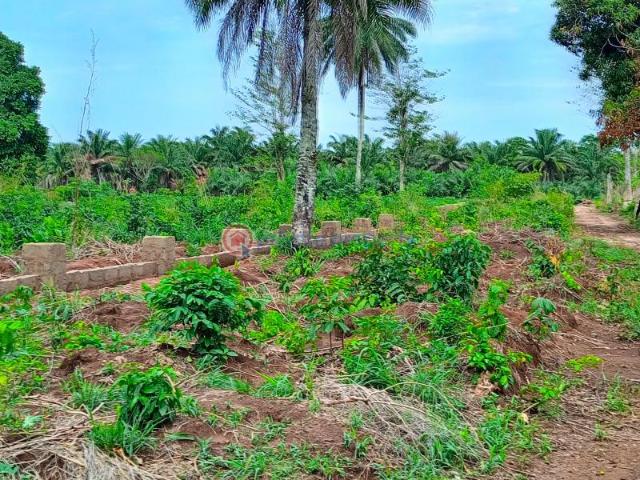 For sale: Residential Land Akuku Igbo, Asaba Aniocha South Delta PID: 0PCPNW | Private Property Nigeria