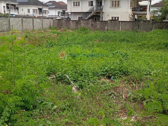 For sale: Residential Land Carlton Gate Estate Chevron Drive Lekki Lagos PID: 4PCLRX | Private Property Nigeria