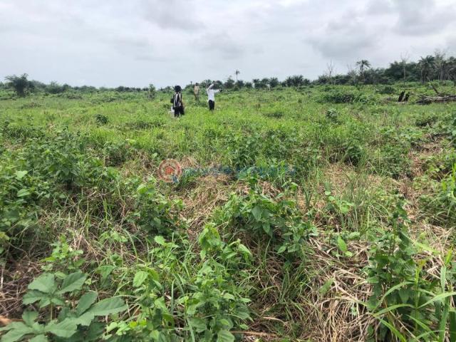 For sale: Residential Land Dream Land Estate, Abraka Ethiope East Delta PID: 0PBYPY | Private Property Nigeria