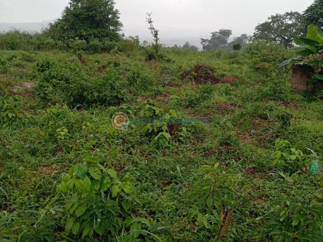 For sale: Residential Land Enuko Village Ishiagu Awka South Anambra PID: 9PCZBT | Private Property Nigeria
