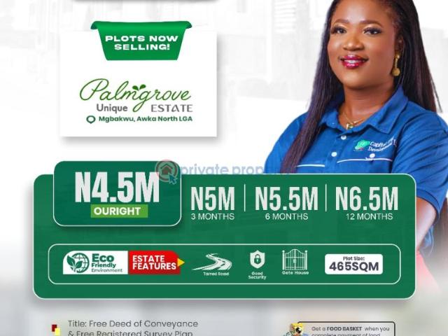 For sale: Residential Land Palm Grove Unique Estate Awka North Anambra PID: 6PCPDW | Private Property Nigeria