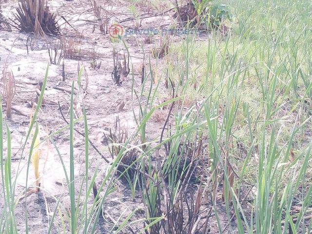 For sale: Residential Land Silver Point Estate Badore Ajah Lagos PID: 1PCJUT | Private Property Nigeria