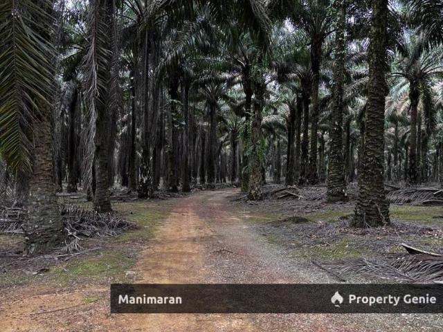 FOR SALE – [SLC 0357] 1138 Acres Mega Land – Kg Baru Sedenak, Johor