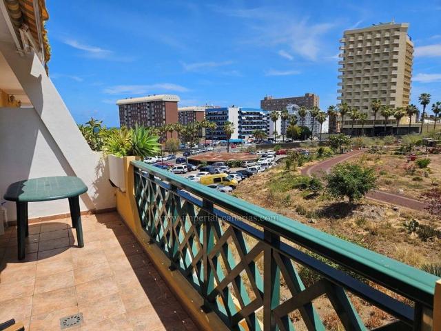 For short term let, fantastic penthouse in best area of Puerto