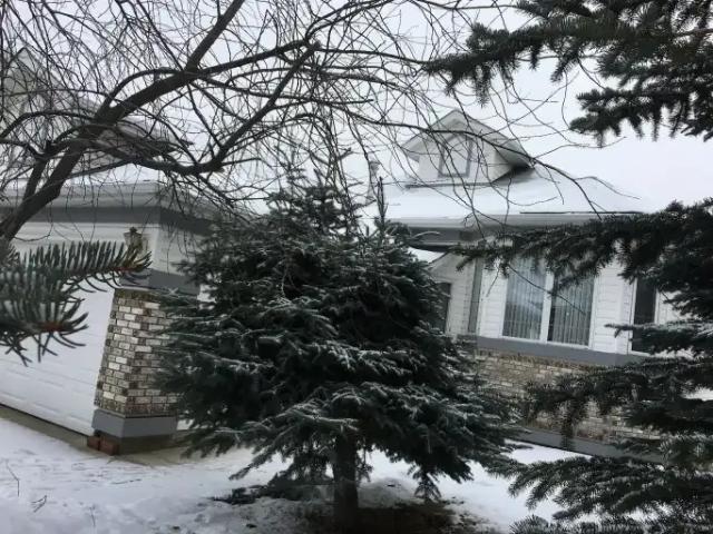 For Rent 4 Bedroom House Calgary AB DS103030695