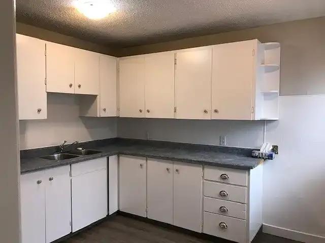 For Rent 4 Bedroom House Calgary AB DS104179587