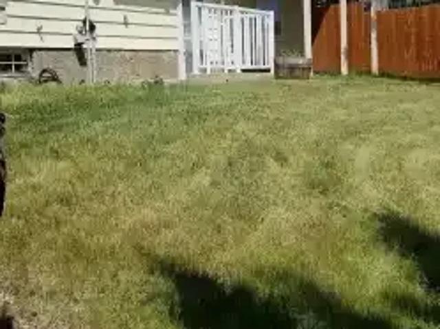 For Rent 4 Bedroom House Calgary AB DS104180158