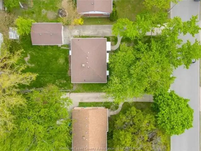 For Rent 4 Bedroom House Windsor ON DS104183276