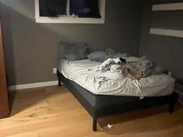 For Rent 4 Bedroom Shared Living/roommate Airdrie AB DLS97416874