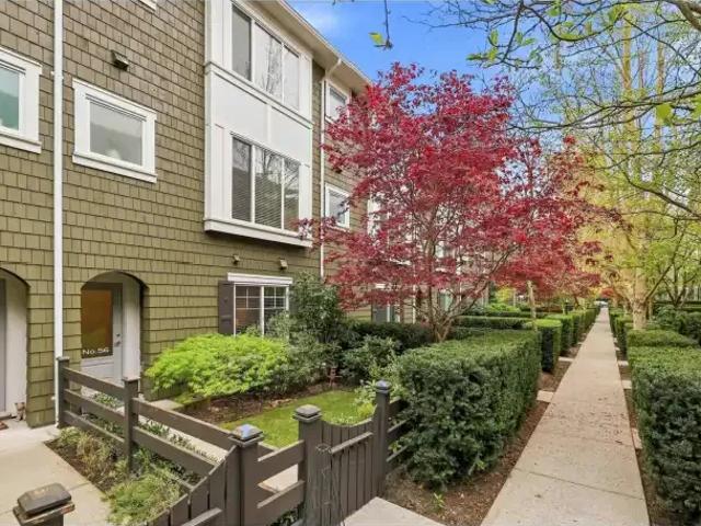 For Rent 4 Bedroom Townhouse Surrey BC DLS101827926
