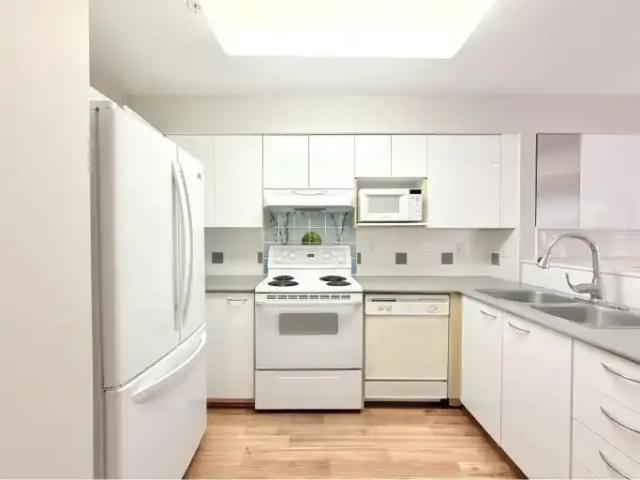 For Rent 4 Bedroom Townhouse Surrey BC DS100941163