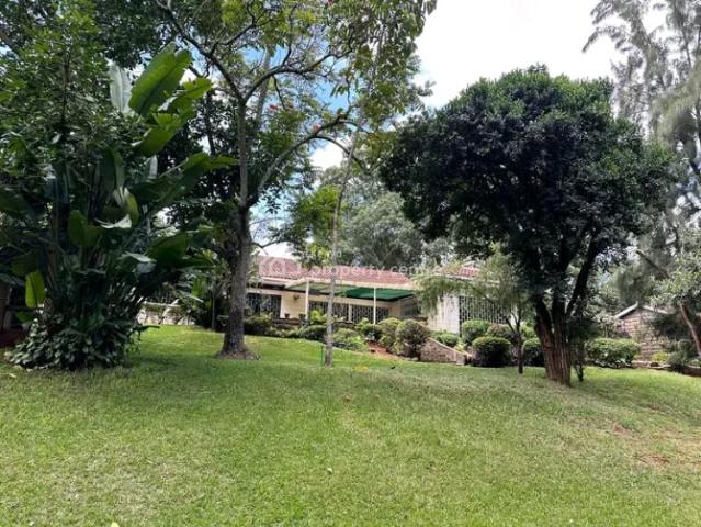 For Rent: 4 Bedrooms Standalone House, Lavington, Nairobi | 4 Beds, 4 Baths | Kenya Property Centre Ref: 31558 Kenya Property Centre KPC