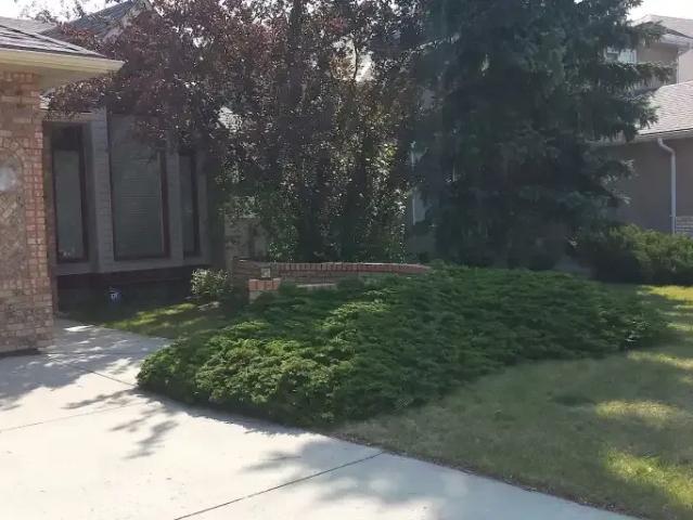 For Rent 5 Bedroom House Calgary AB DLS104180079