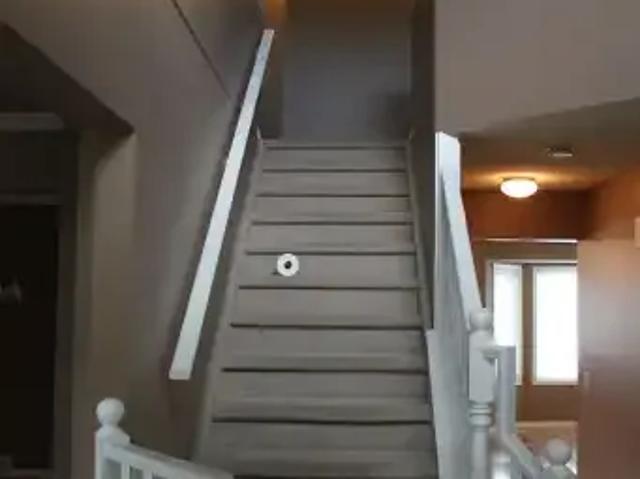 For Rent 5 Bedroom House Calgary AB DS102551200