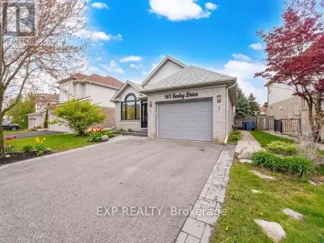 For Rent 5 Bedroom House Guelph ON DS102434479