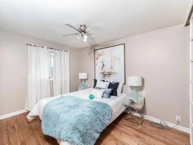 For Rent 5 Bedroom House London ON DS104142615