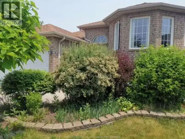 For Rent 5 Bedroom House Windsor ON DLS96255247