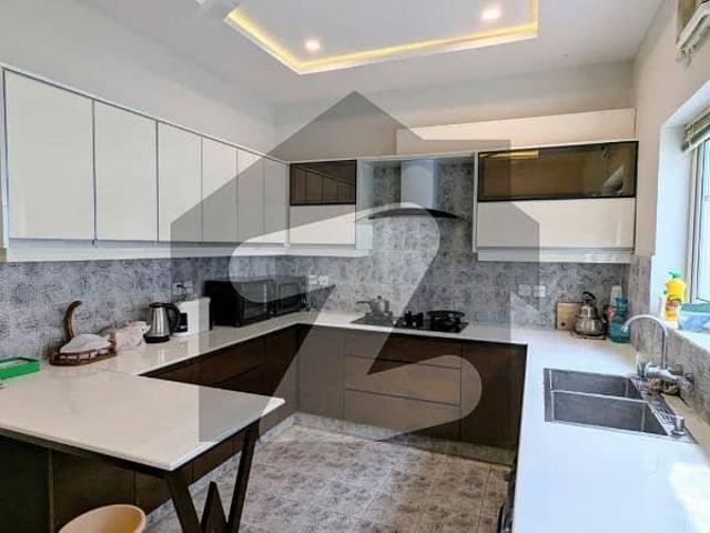 FOR RENT 888 Sqyrd Brand New Single Storey House only Foreigners F_8/3