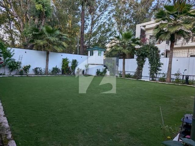 FOR RENT 1200 Sq Yard Fully Renovated 3 Beds Double Storey With Beautiful Lawn In G 6/4