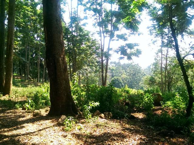 For Rent: 1 Acre Commercial Plot, Raphta Road, Westlands, Nairobi | Kenya Property Centre Ref: 46671 Kenya Property Centre KPC