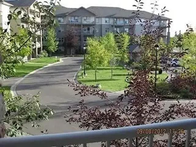 For Rent 1 Bedroom Condo Calgary AB DLS101107663