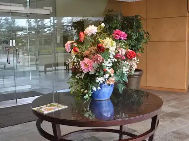 For Rent 1 Bedroom Condo Calgary AB DLS103090952