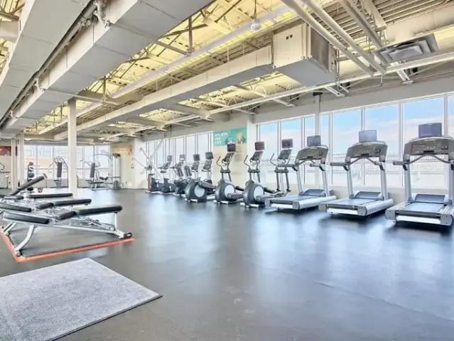 For Rent 1 Bedroom Condo Calgary AB DS101986685